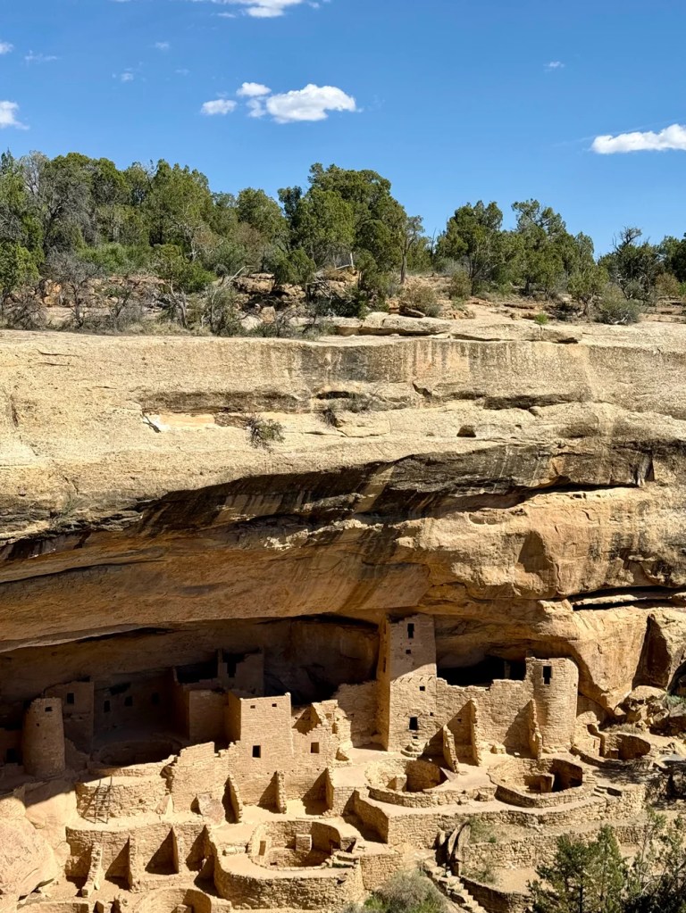 Cliff Palace dwelling inside Mesa Verde National Park