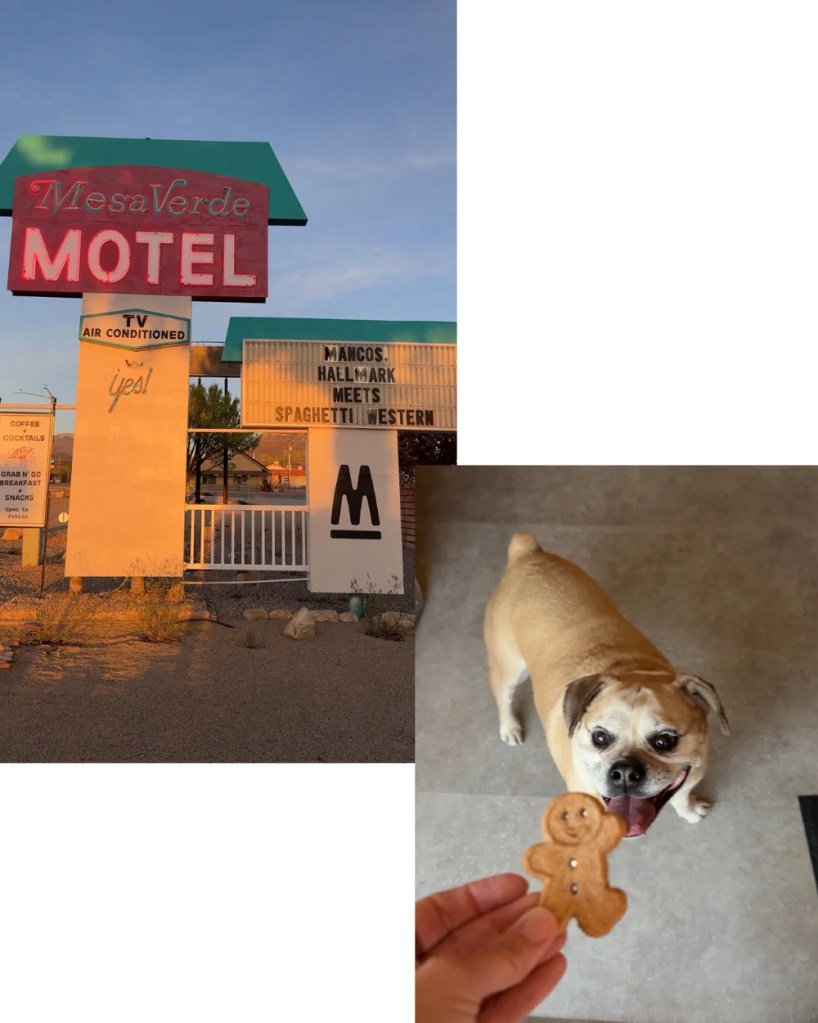 Collage of two images: One of the Mesa Verde Motel signage in Mancos, Colorado. The other is of a puggle smiling as he gets ready to eat a dog treat provided by the motel.